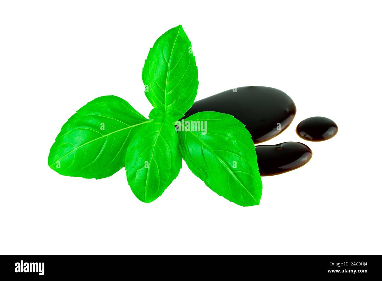 Basil leaf mit Balsamico Tropfen auf Weiß. Italienische Küche Küche Konzept Stockfoto