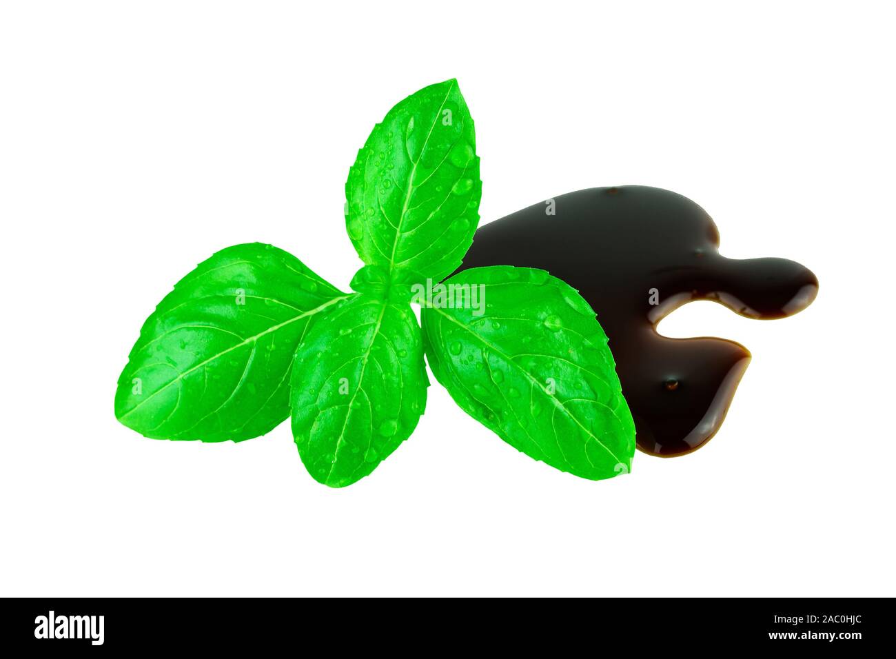 Basil leaf mit Balsamico isoliert auf Weiss. Italienisches Essen Konzept Stockfoto