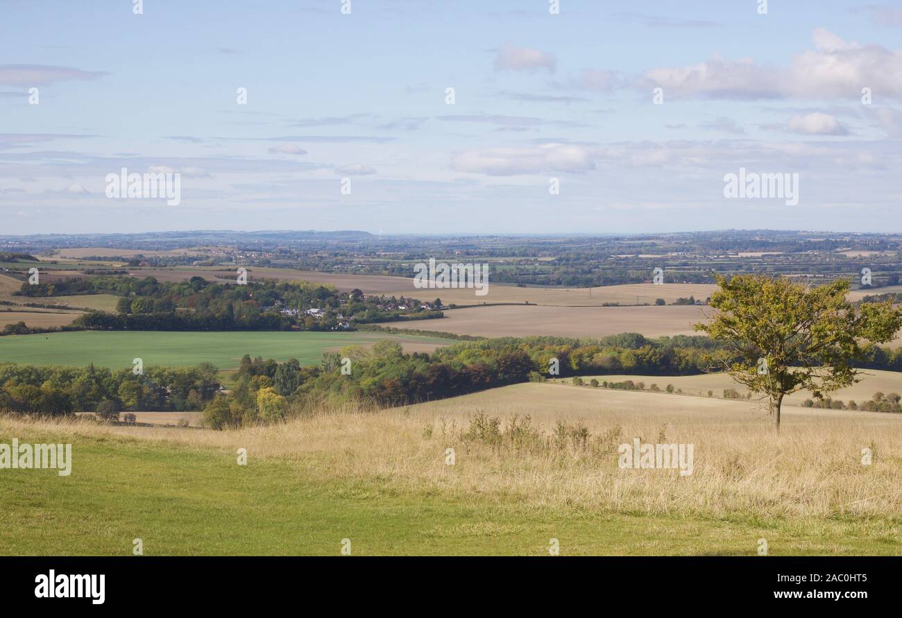 Blick über Dunstable Downs in der Chiltern Hills England Stockfoto