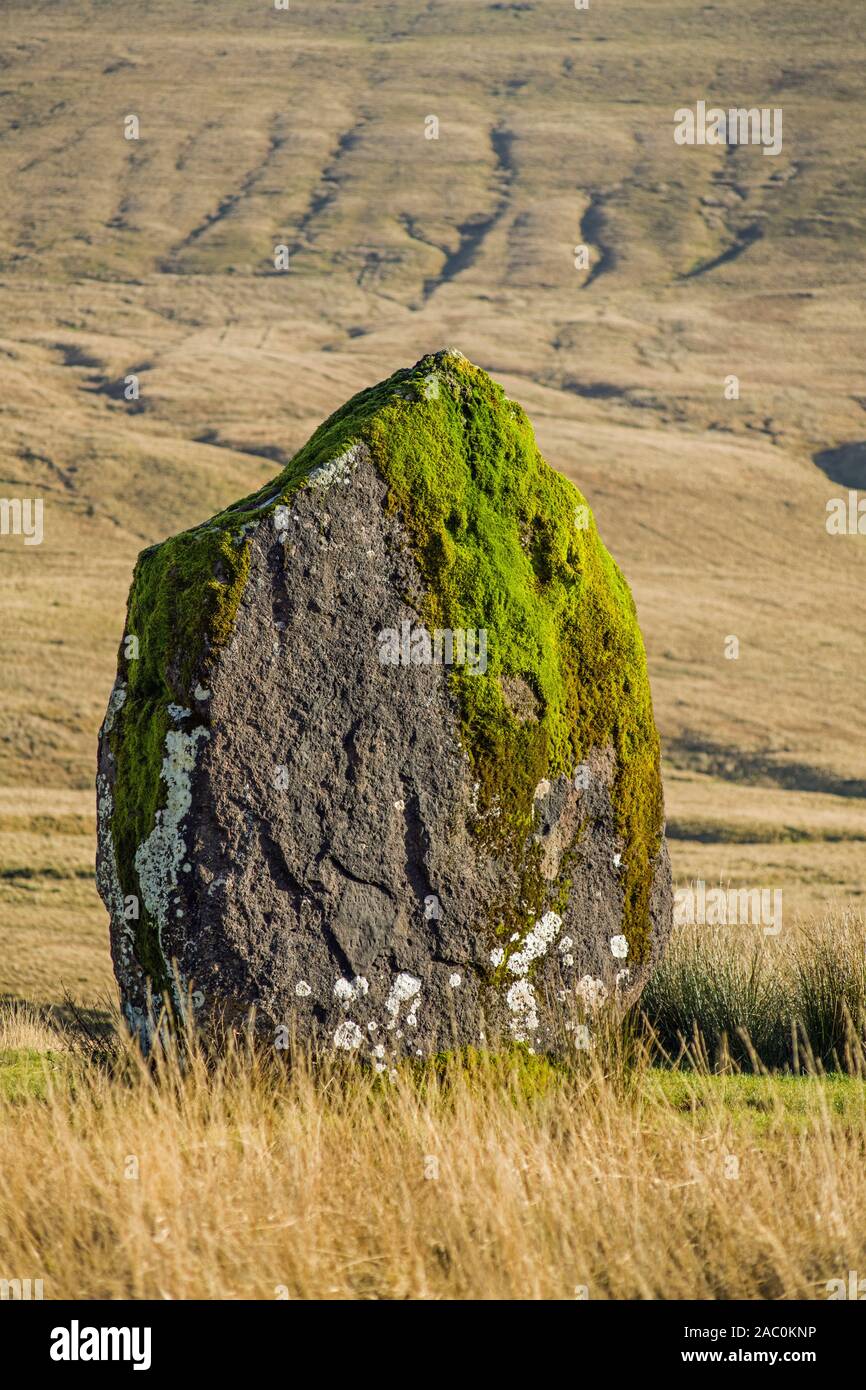 Maen Llia Standing Stone im Llia Valley Forest Fawr im Brecon Beacons National Park, South Wales. Als Wegweiser geglaubt. Stockfoto