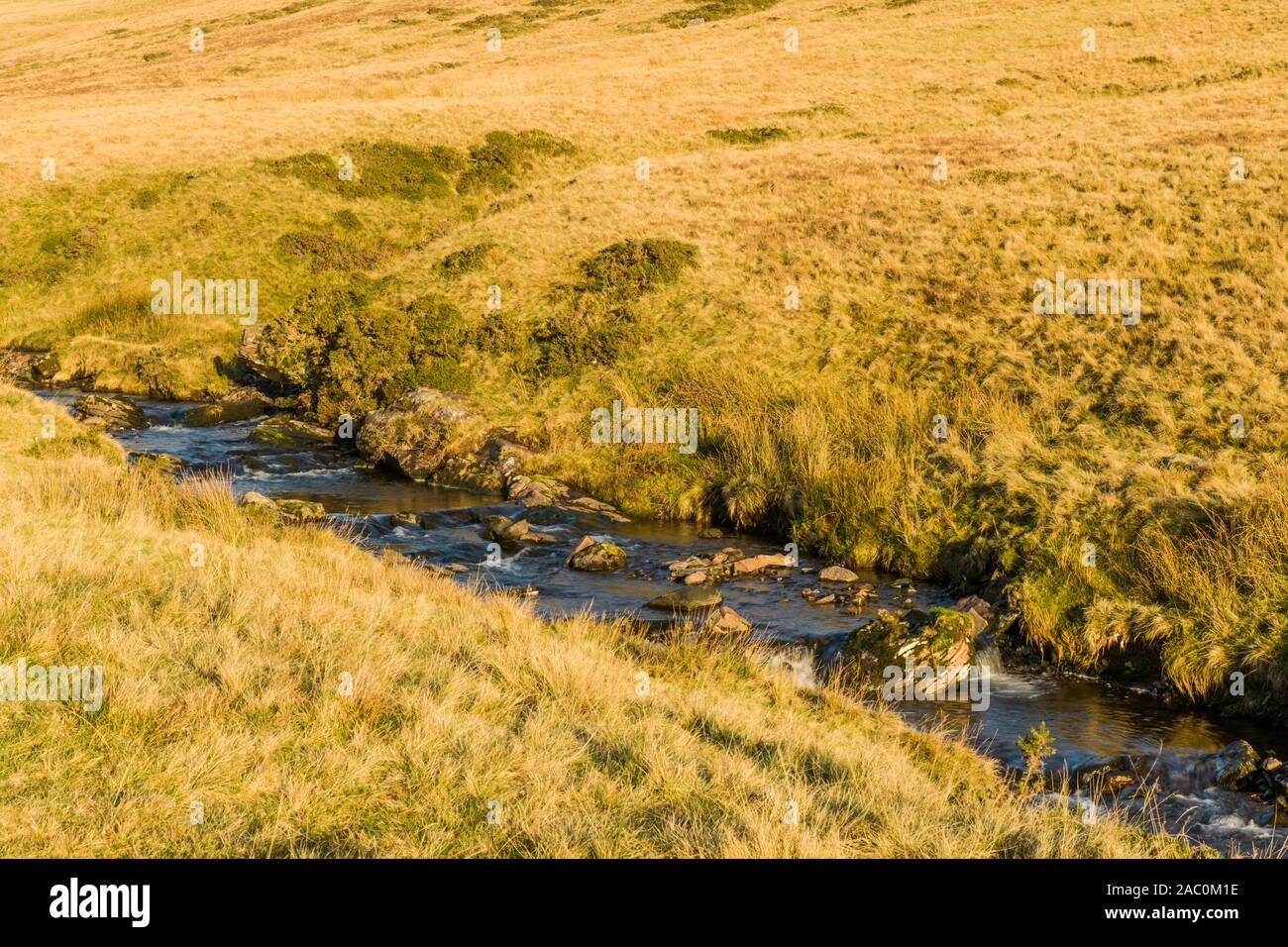 Der Fluss Afon Llia hoch in die Brecon Beacons Llia Tal, bevor Sie den Weg der Afon Dringarth und dann die Afomn Mellte in Powys zu verbinden Stockfoto