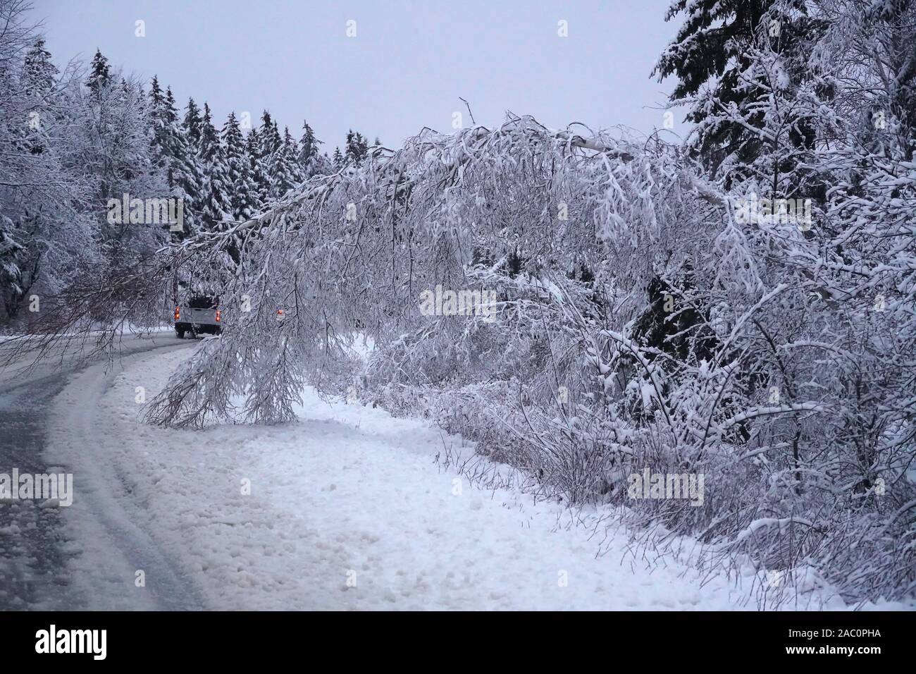 Baum lehnend in die Straße während der schlechten Straßenverhältnisse und Unfälle im ersten Winter Sturm der Saison. Hübsche schwarze und weiße Wunderland Stockfoto