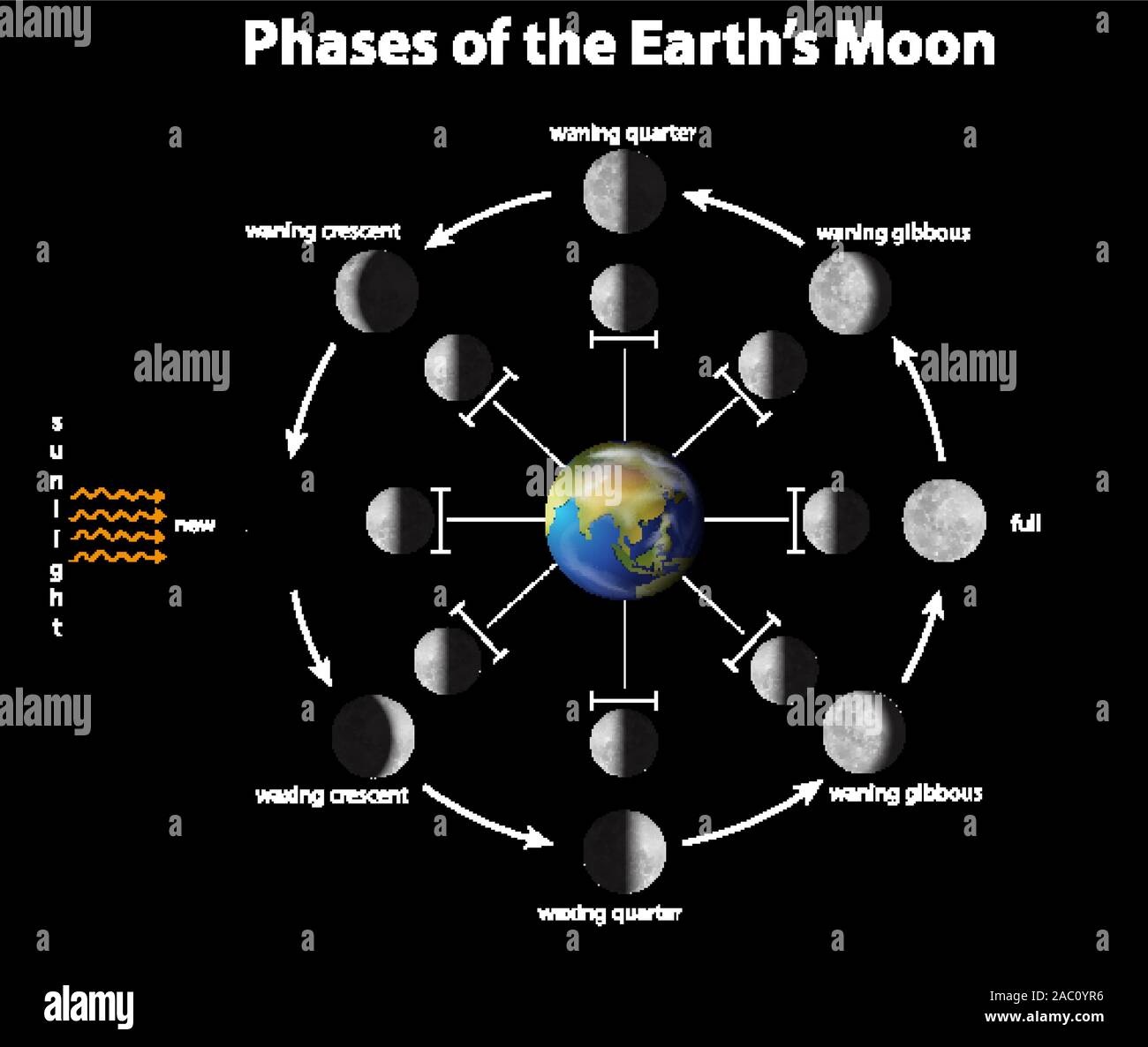 Wie Dreht Sich Der Mond Um Die Erde Diagramm mit Phasen der Erde Mond Abbildung Stock-Vektorgrafik - Alamy