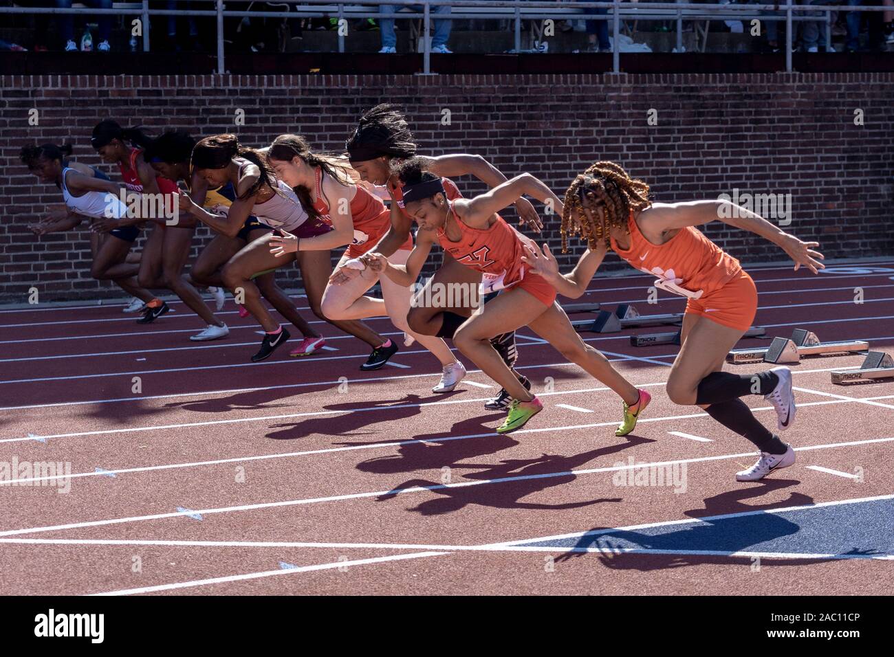 Start von 100's College Frauen m Dash am 2019 Penn Relais. Stockfoto