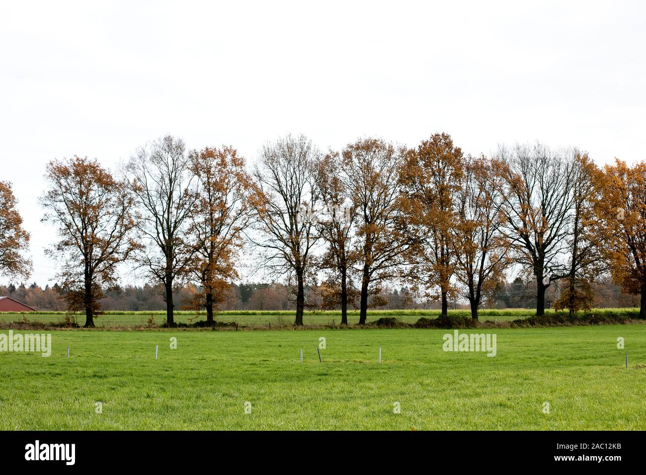 Dorsten rhade -Fotos und -Bildmaterial in hoher Auflösung – Alamy