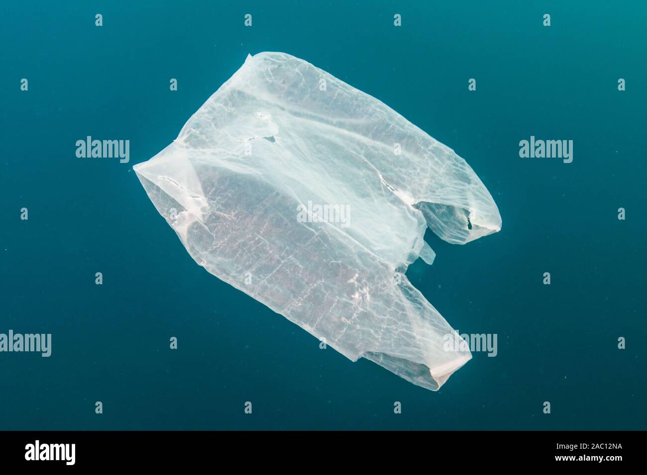 Kunststoff Verschmutzung in den Ozean - eine weggeworfene Tüte Treiben unter Wasser in einem tropischen Meer Stockfoto