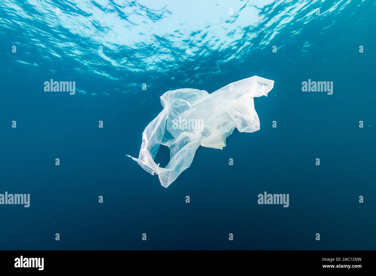 Kunststoff Verschmutzung in den Ozean - eine weggeworfene Tüte Treiben unter Wasser in einem tropischen Meer Stockfoto