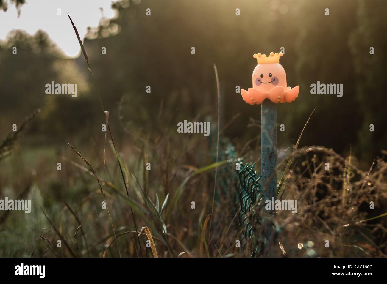 Spielzeug orange Octopus auf einem alten grünen Maschendrahtzaun auf einer verschwommenen Hintergrund mit Wiese und Tau. Stockfoto