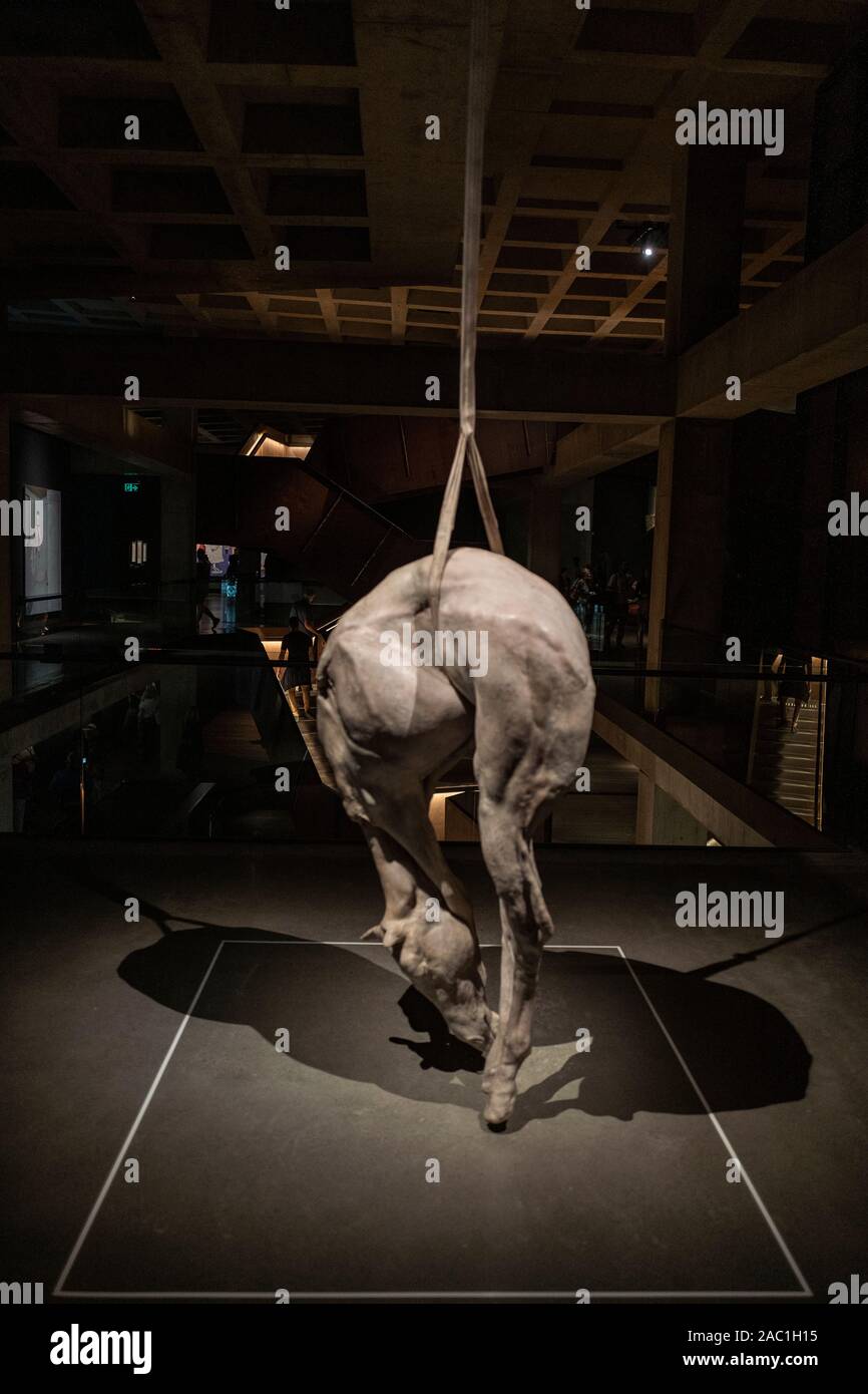 Installationen im Museum of Old and New Art (MONA) in Hobart, Tasmanien, Australien Stockfoto