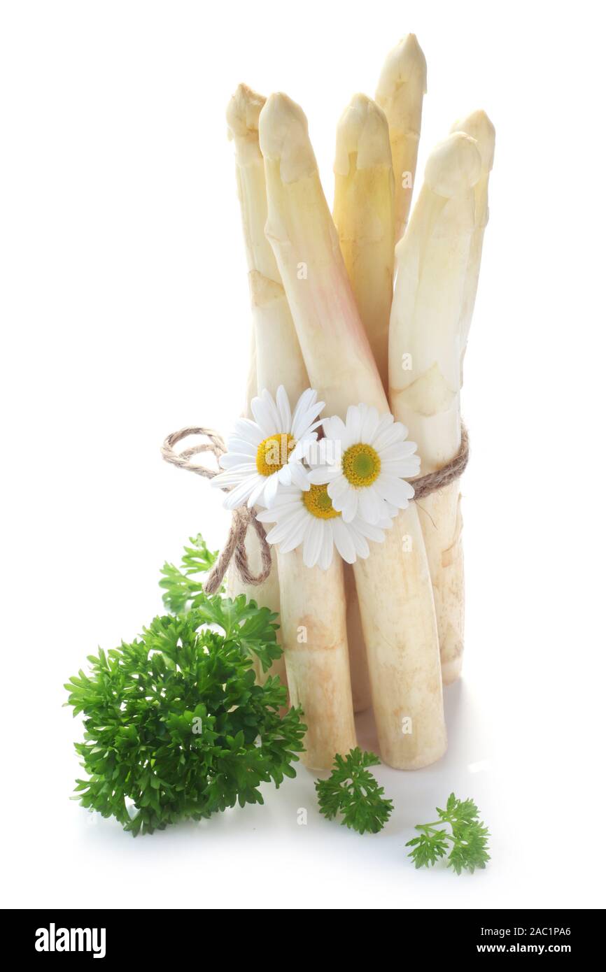 Raw weißer Spargel isoliert auf weißem Stockfoto