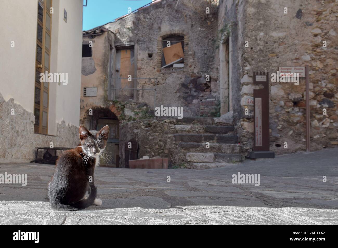 Streunende Katze in Castelmola, Sizilien, Italien Stockfoto