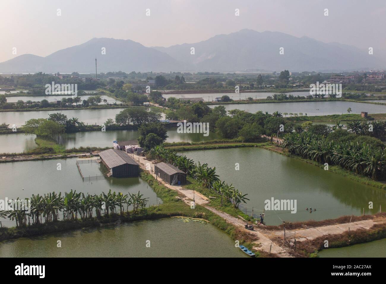 Eine Szene eines ländlichen Raum der Bay Area - Guangdong-Hong Kong-Macau, entwickelte sich sehr schnell für die Industrie und Fertigung, Stockfoto