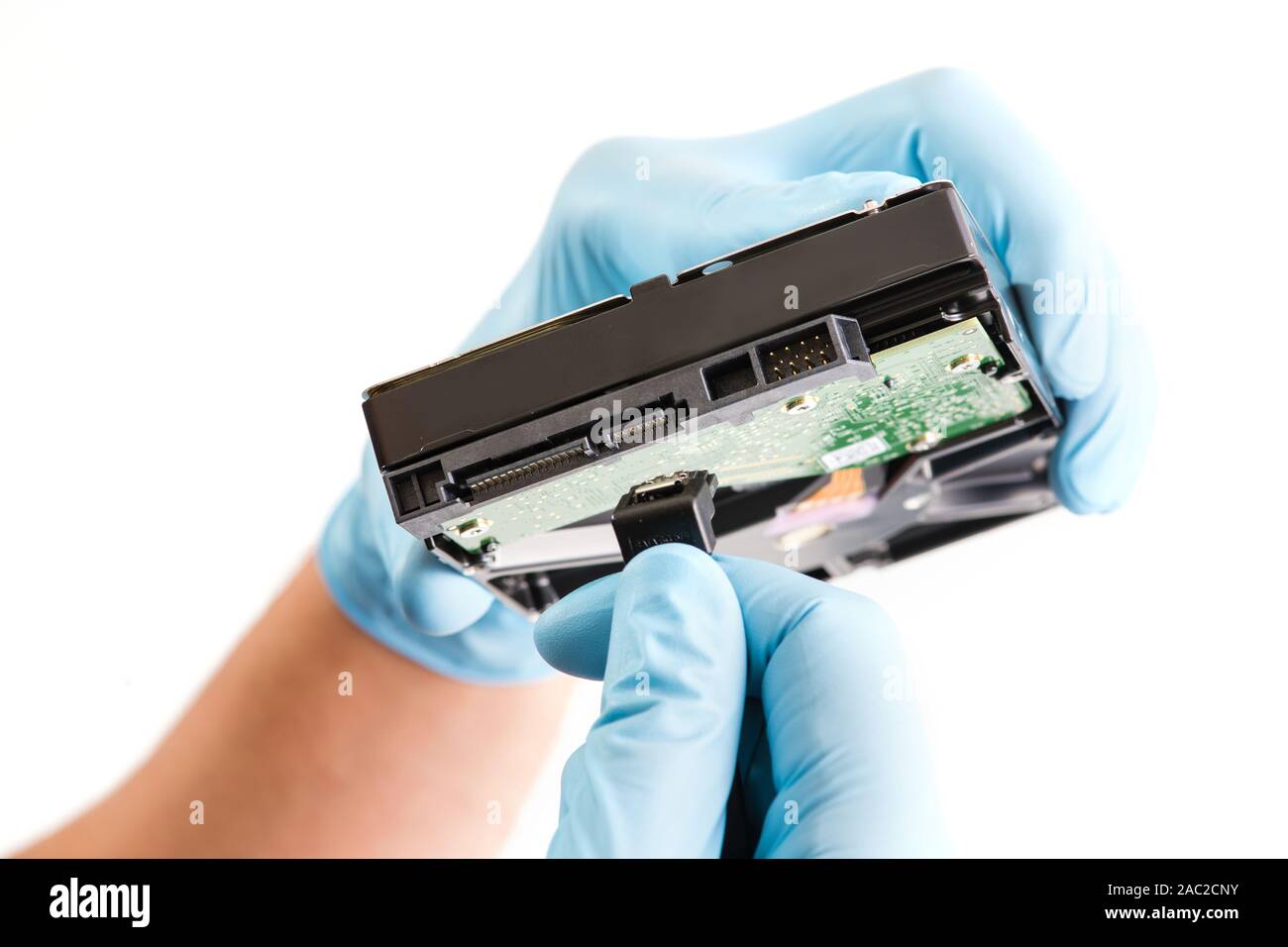 Handwerker Hand in Blau runnber Handschuh hält Computer Festplatte mit grünen Chip. Stockfoto