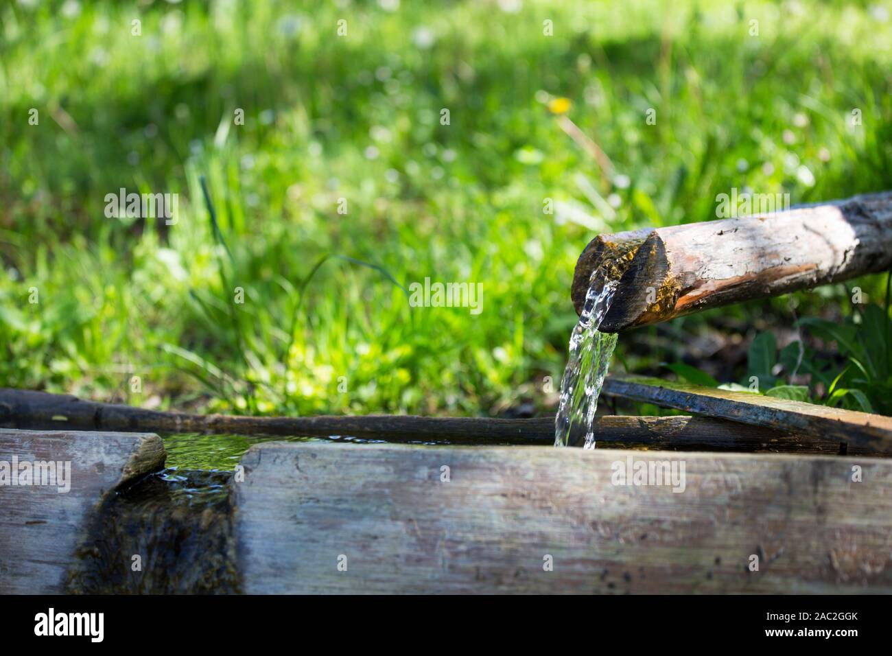 Quelle für Trinkwasser, natürlichen Reichtum, Trinkwasser, reine Feder Stockfoto