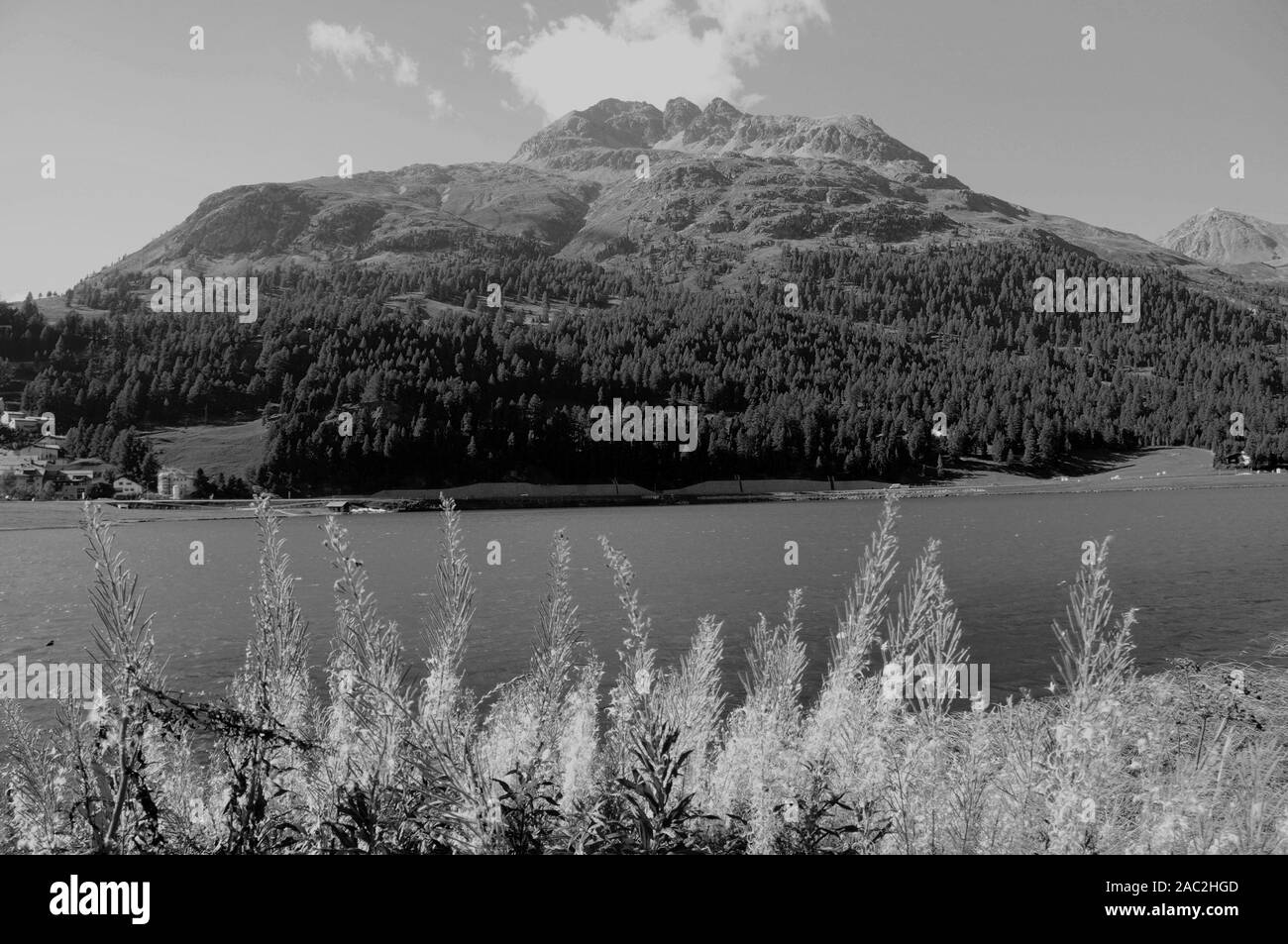 Schweizer Alpen: Silvaplanasee ist einer von fünf Gletscher Seen im Tal der Oberen Engadin Stockfoto