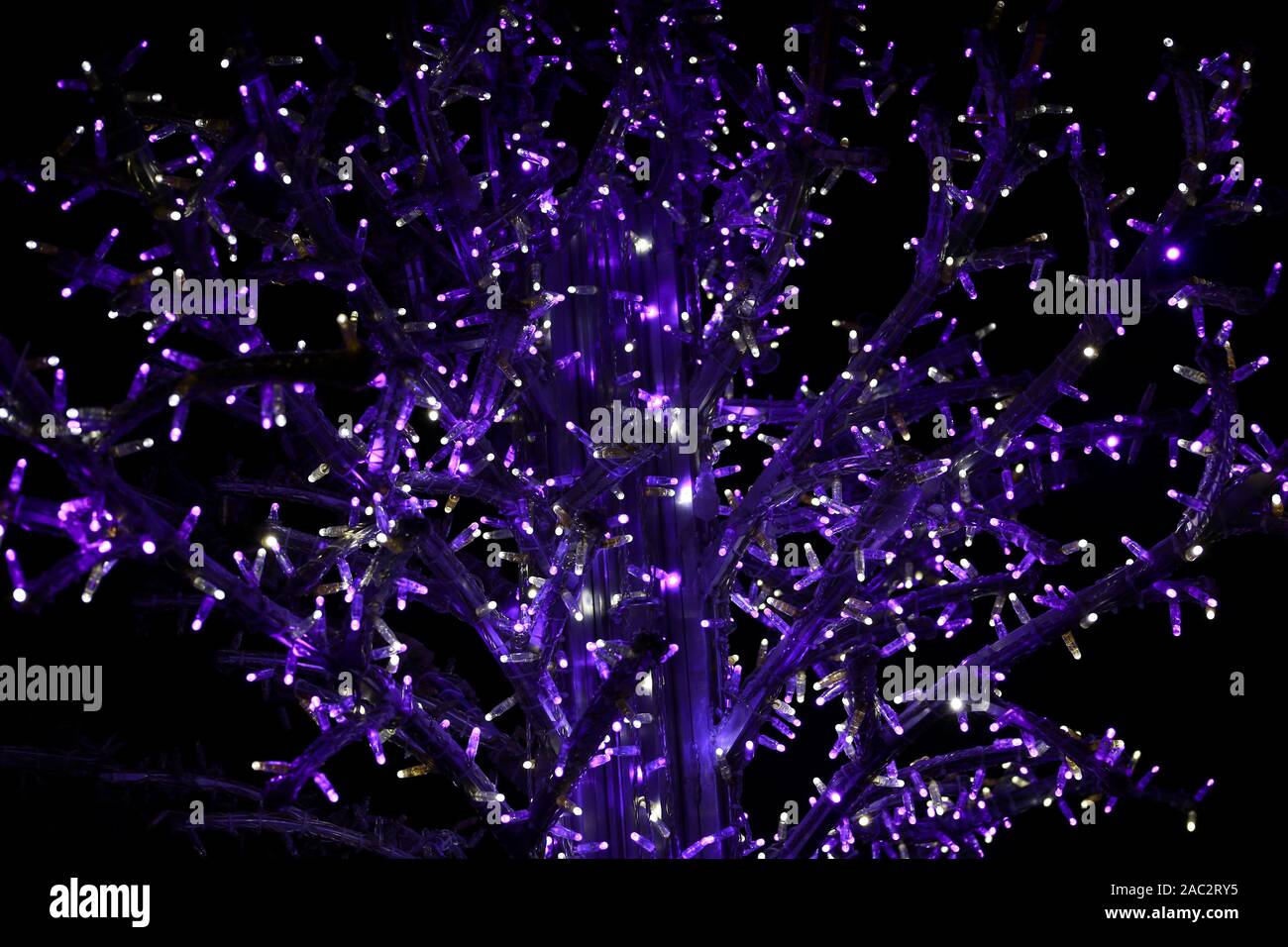 Teil von Urlaub Weihnachtsbaum dekorieren mit violett und weiß blinkenden Lichtern in der Nacht. Detail der neuen Jahr Dekorationen, string Reis Glühlampen. Stockfoto