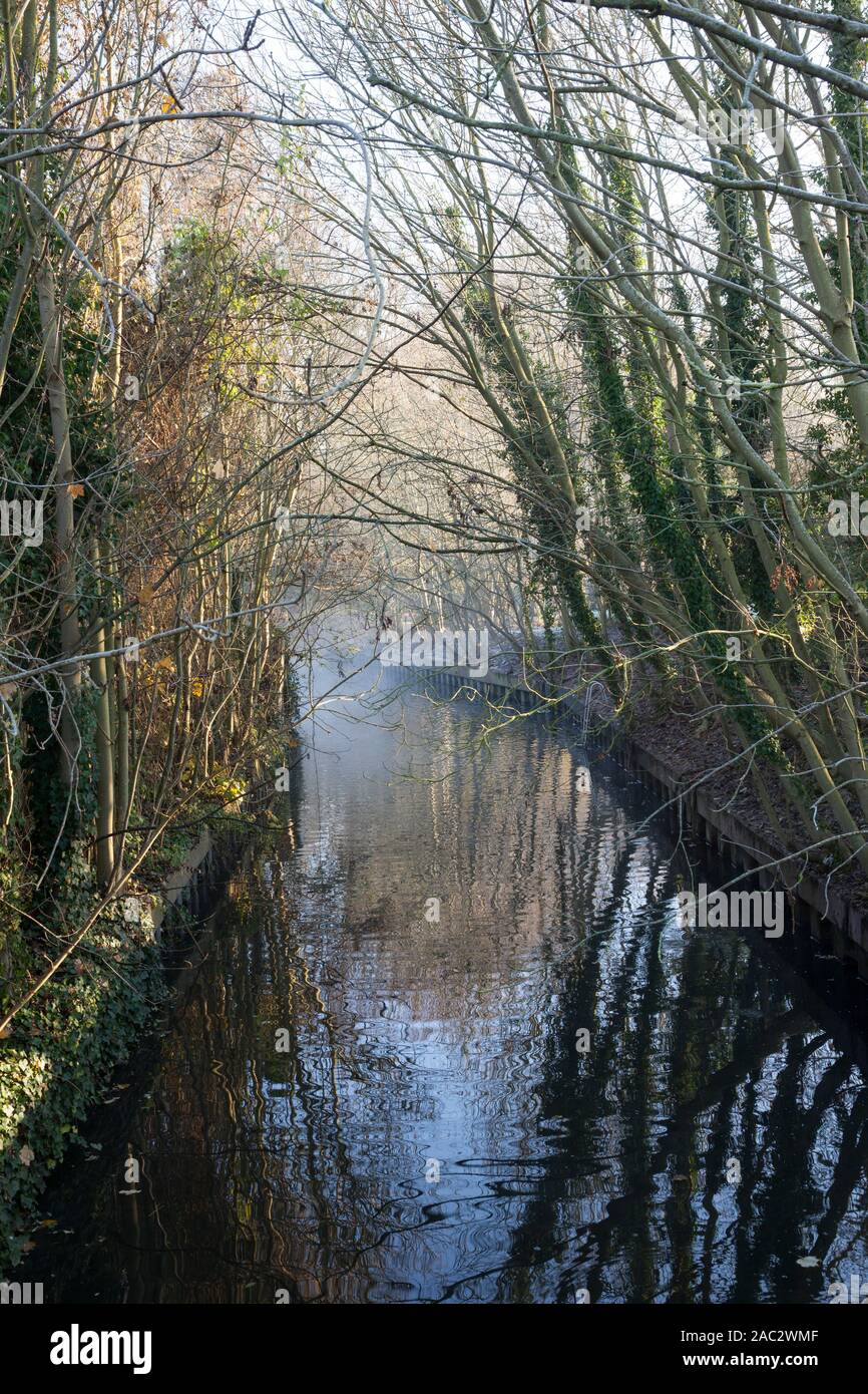 Wintermorgen, Fluss Stort, Achterwasser, Twyford Sperren Stockfoto