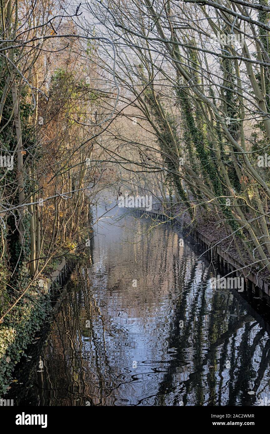 Wintermorgen, Fluss Stort, Achterwasser, Twyford Sperren Stockfoto