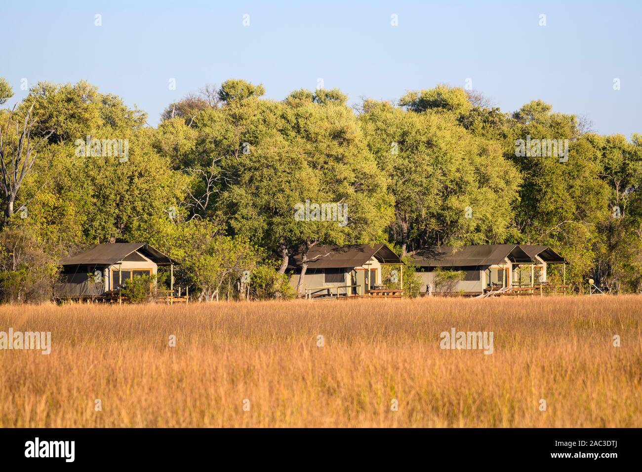 Luxuscamping im Khwai Private Reserve, Okavango Delta, Botswana Stockfoto