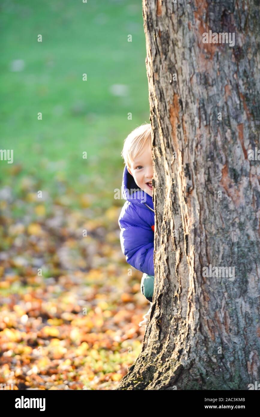 Nette junge blonde Junge verstecken und spielen Verstecken und im Freien in einem Park in natürlichen tagsüber Sonnenlicht suchen Stockfoto