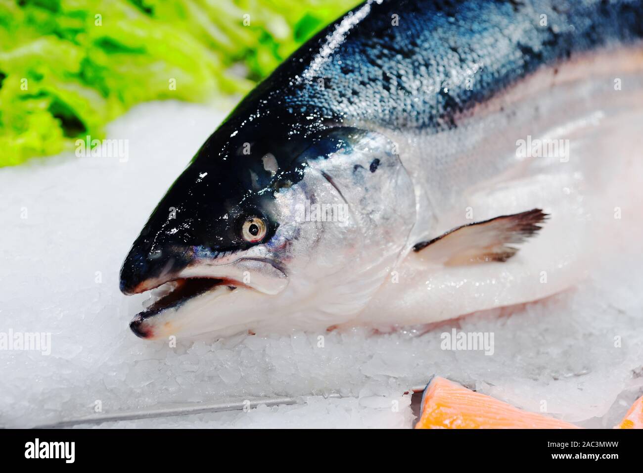 König Lachs auf Eis im Supermarkt, cloes der Kopf, getönten Bild Stockfoto