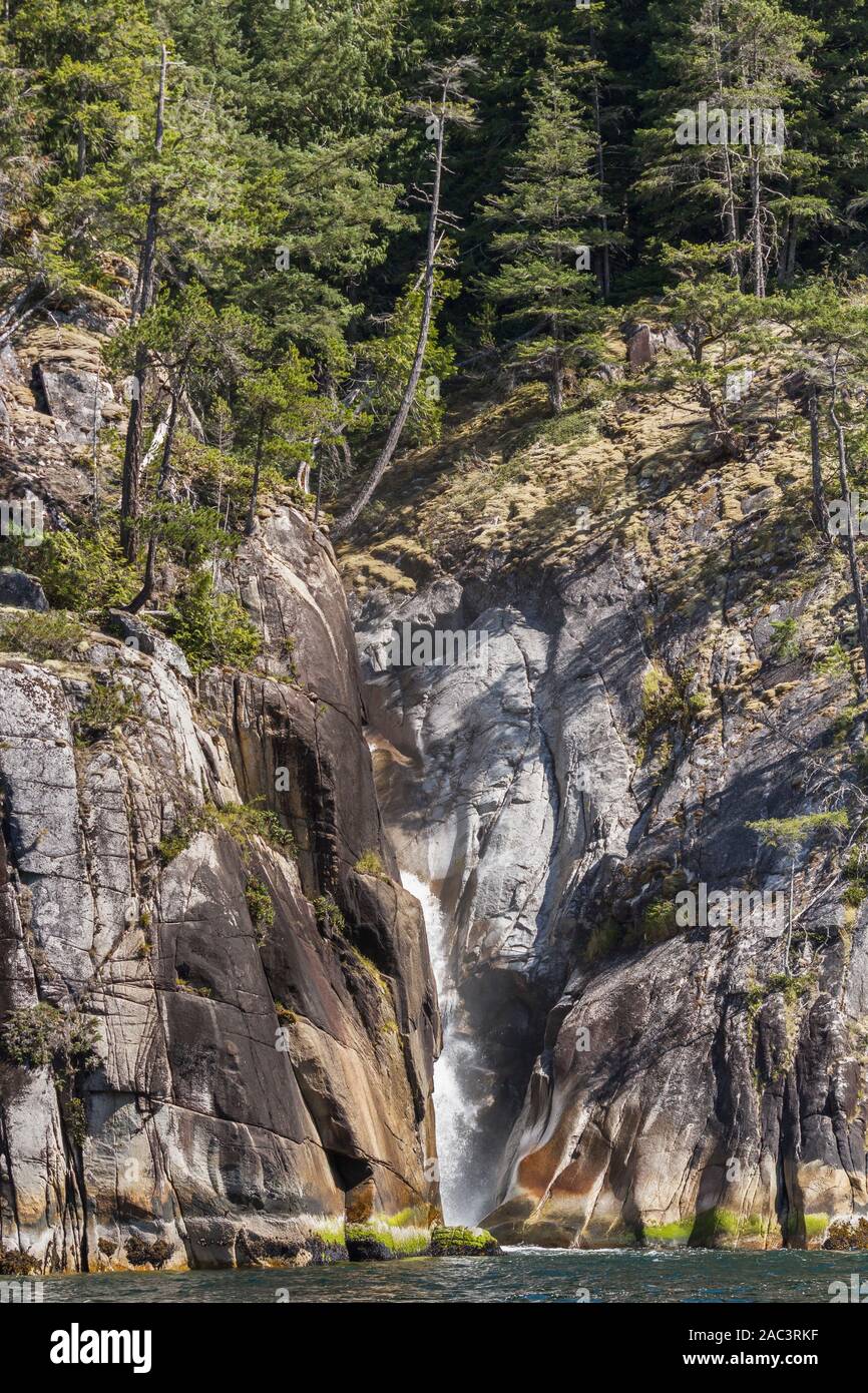 Ein Wasserfall an der Küste British Columbia Tropfen aus einer Spalte in einer Klippe, mit Wald oberhalb und Sonnenlicht und Schatten über die Felswand (vertikal). Stockfoto