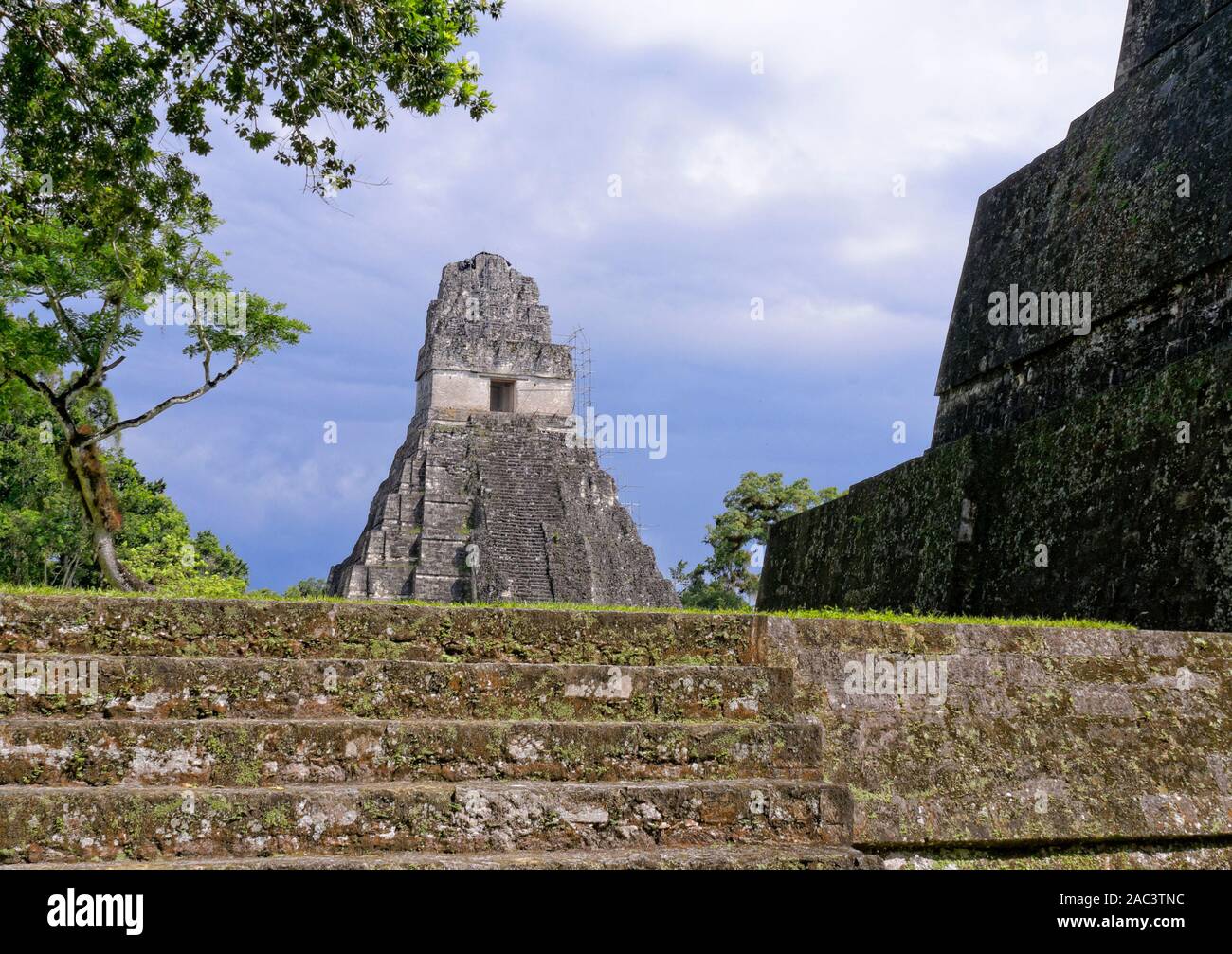 Tempel I oder Tempel der Großen Jaguar, Maya Ruinen von Tikal, El Peten, Guatemala. Stockfoto