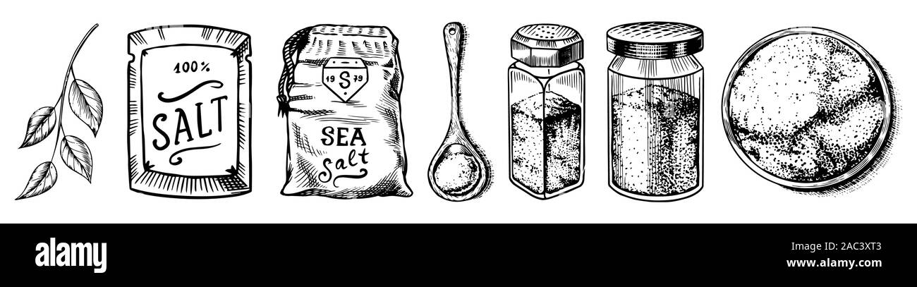 Meersalz. Glas Flaschen, Verpackungen und und Blätter, Kochlöffel, Pulver Pulver, Spice in der Hand. Vintage Hintergrund Poster. Graviert hand Stock Vektor