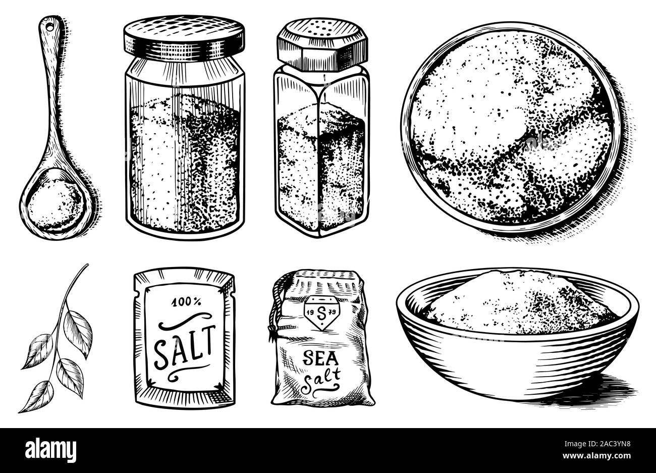 Meersalz. Glas Flaschen, Verpackungen und und Blätter, Kochlöffel, Pulver Pulver, Spice in der Hand. Vintage Hintergrund Poster. Graviert hand Stock Vektor