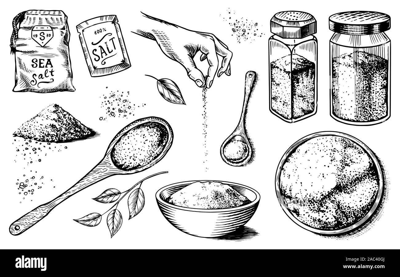 Meersalz. Glas Flaschen, Verpackungen und und Blätter, Kochlöffel, Pulver Pulver, Spice in der Hand. Vintage Hintergrund Poster. Graviert hand Stock Vektor