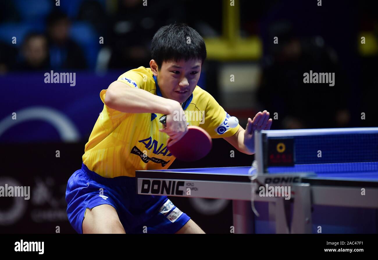 Harimoto Tomokazu von Japan bekommt den Ball gegen Aruna Quadri von Nigeria (nicht dargestellt) in der Runde der 16 International Table Tennis Federation (ITTF) Men's World Cup in Chengdu City, im Südwesten Chinas Provinz Sichuan, 30. November 2019. Harimoto Tomokazu von Japan besiegt Aruna Quadri von Nigeria 4-1 zu den Umlauf von 16 International Table Tennis Federation (ITTF) Men's World Cup in Chengdu City, im Südwesten Chinas Provinz Sichuan, 30. November 2019. Stockfoto