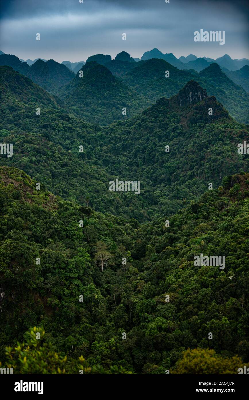 Cat Ba Nationalpark Blick auf die Ha Long Berge von oben Stockfoto