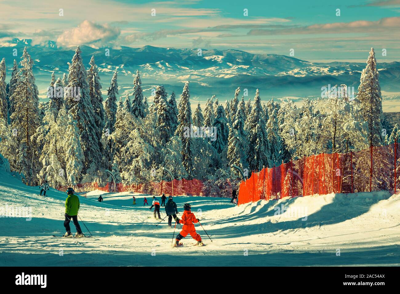 Fabelhafte Winter Skigebiet mit Schnee bedeckten Bäumen. Aktive Skifahrer skifahren Skifahren und genießen die Natur, Poiana Brasov, Karpaten, Siebenbürgen, R Stockfoto