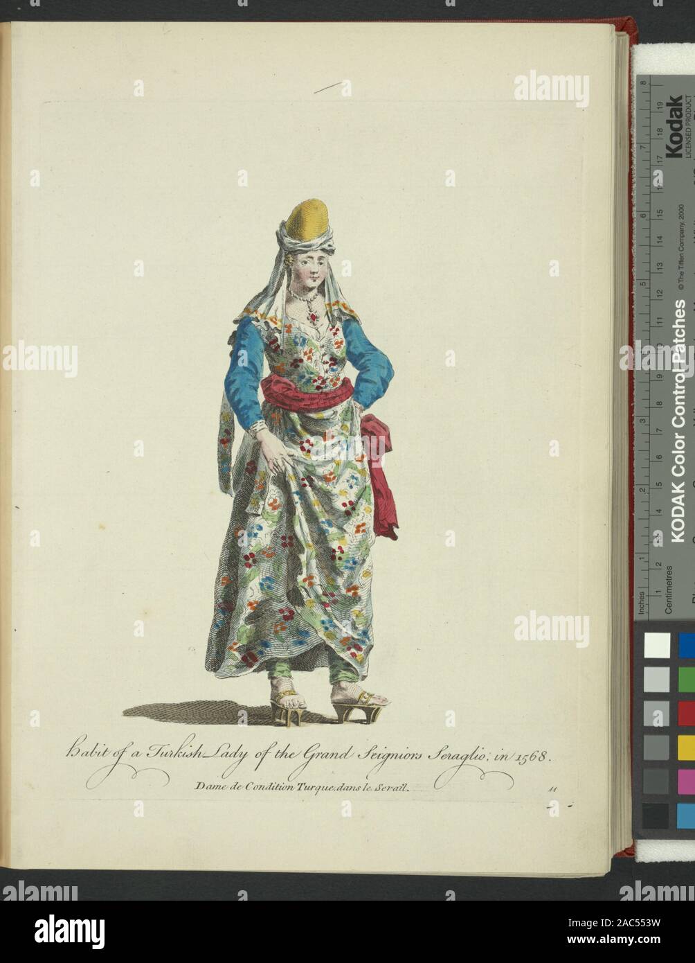 Gewohnheit der Türkischen Dame des Grand seigniors Serail, 1568 Dame de Zustand Turque, dans le Serail ursprünglich 1568 Veröffentlicht in Reisen und Reisen von N. de Nicholay Dauphinoys, seigneur D'Arfeville, Valet de Chambre und Geograph, der König von FranceHabit der Türkischen Dame des Grand seigniors Serail, im Jahre 1568. Dame de Zustand Turque, dans le Serail. Stockfoto