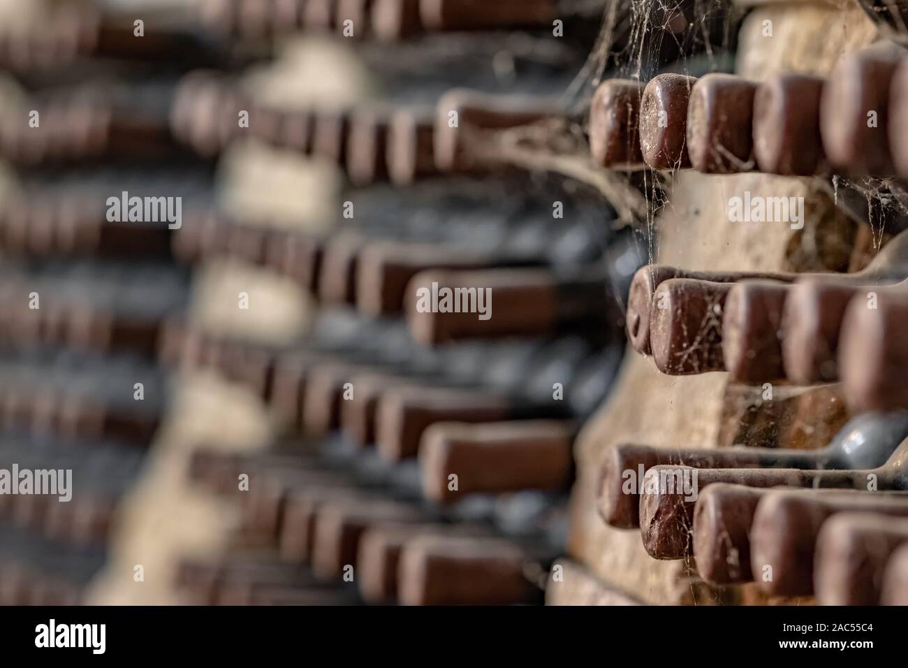 Alter Wein Flaschen mit Spinnennetz im alten Weinkeller in der Nähe gestapelt abgedeckt - bis Stockfoto