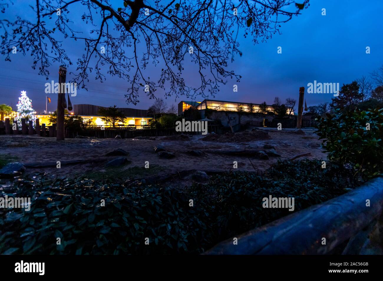 Nacht im Elephant enclosure, Chester Zoo im November, Chester. Großbritannien Stockfoto