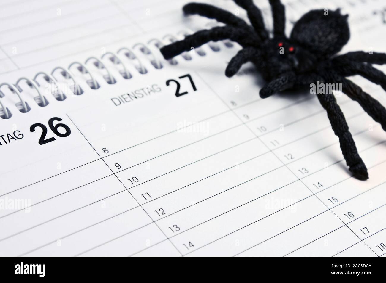 Phobie vor Spinnen und Deutschen Kalender mit Kunststoff Spider Stockfoto