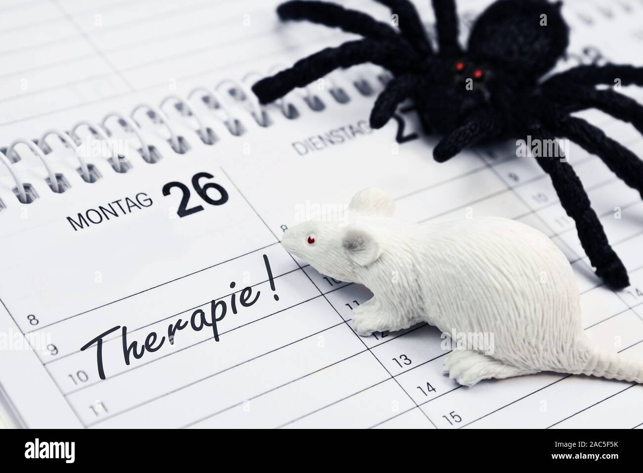 Phobie vor Spinnen und Mäuse auf deutschen Kalender: Therapie Stockfoto