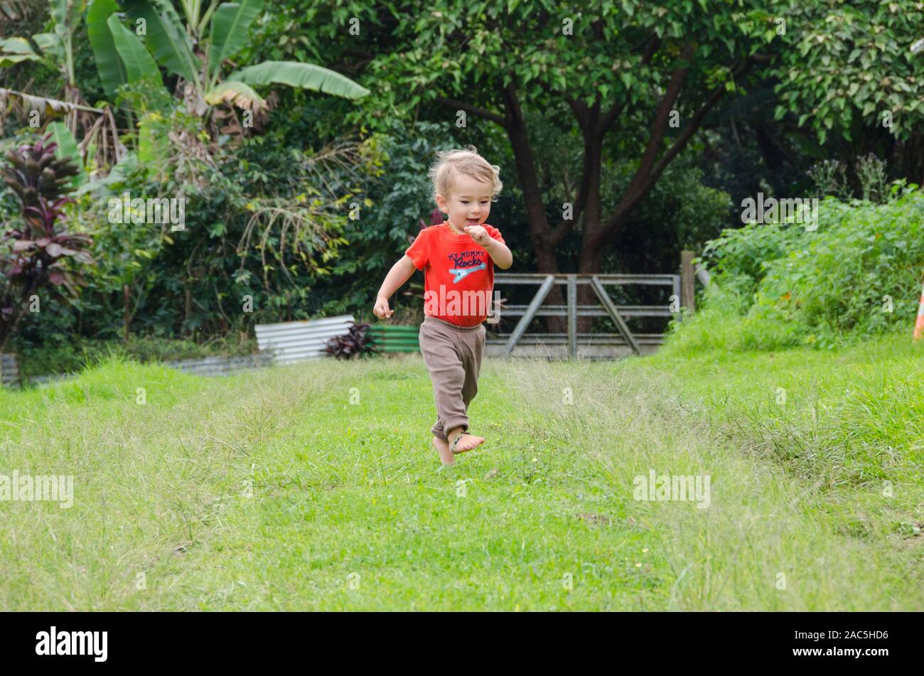 Ein Jahr - Altstadt - asiatische Junge spielt außerhalb läuft eine mit Gras bewachsene Auffahrt, Big Island. Stockfoto