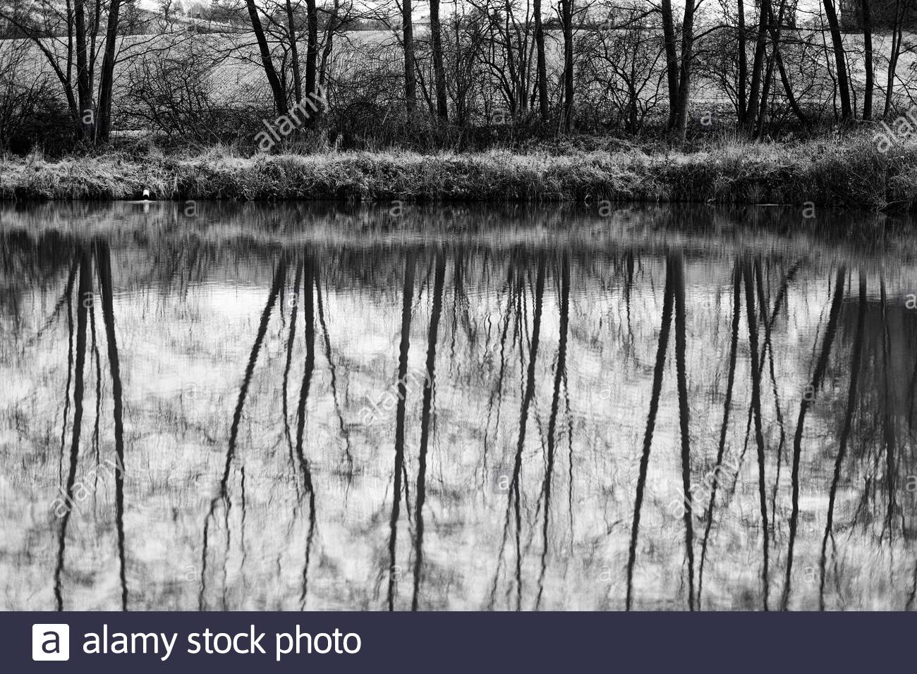 Reflexionen in Schwarz und Weiß auf einem Wintereinbruch in Deutschland Stockfoto