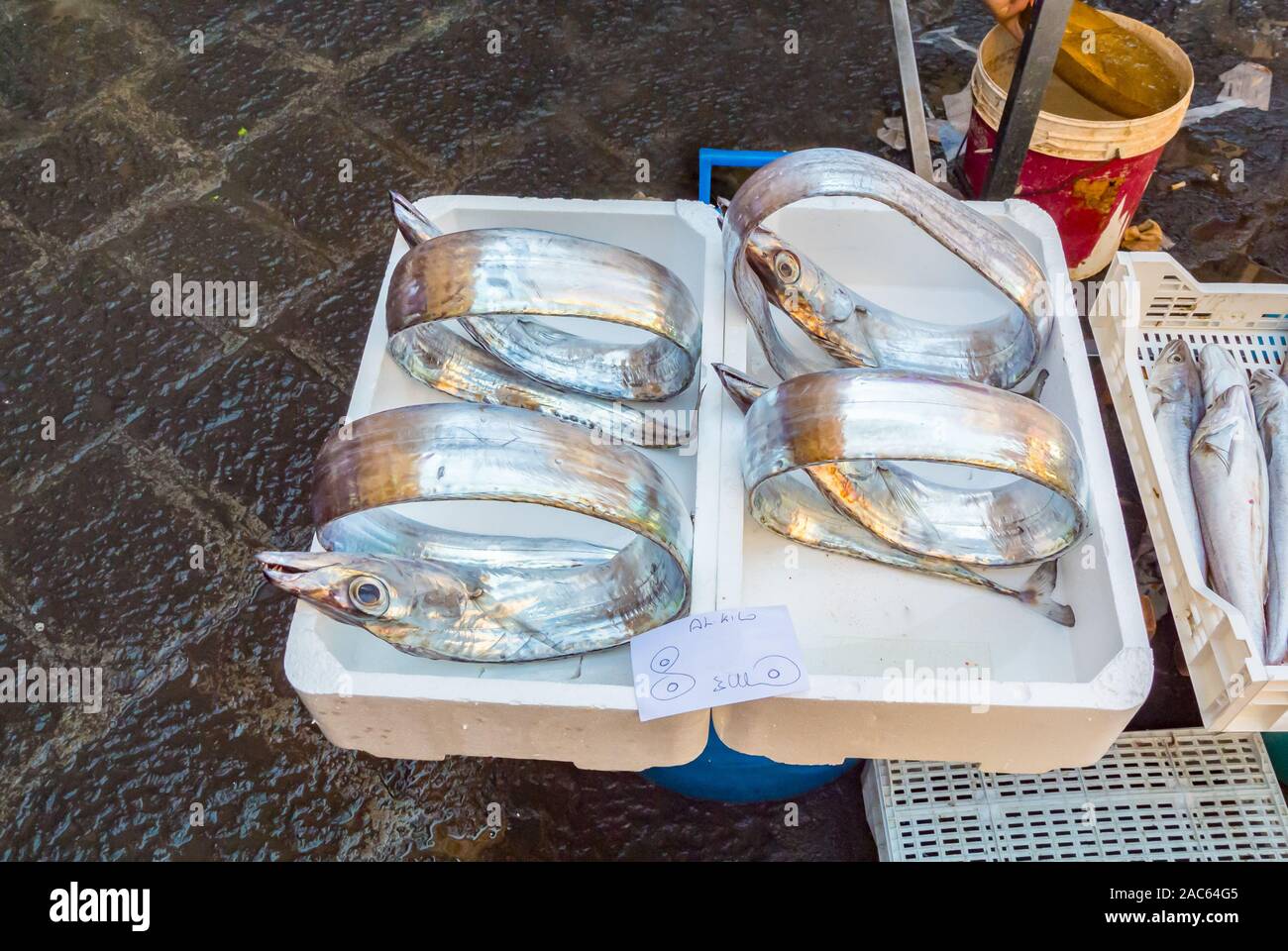 Silber Metallic Fisch auf dem Fischmarkt, Catania, Sizilien, Italien Stockfoto