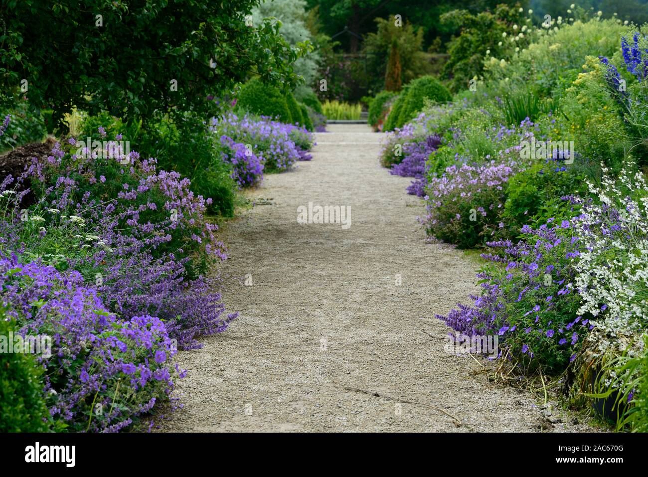 Altamont Gardens, Corona Nord Gedenkmünzen Grenze, Staudenbeet, Grenze