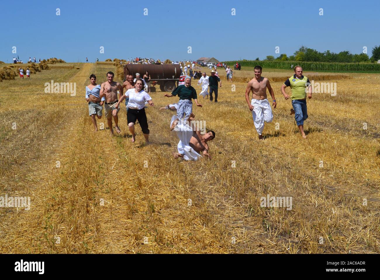 Gornji Breg, Serbien, 17. Juli 2011. Ernte die altmodische Art und Weise auf dem Feld in Gornji Breg, Backa, der Vojvodina. Dieses Ereignis wird von Touristen begleitet Stockfoto