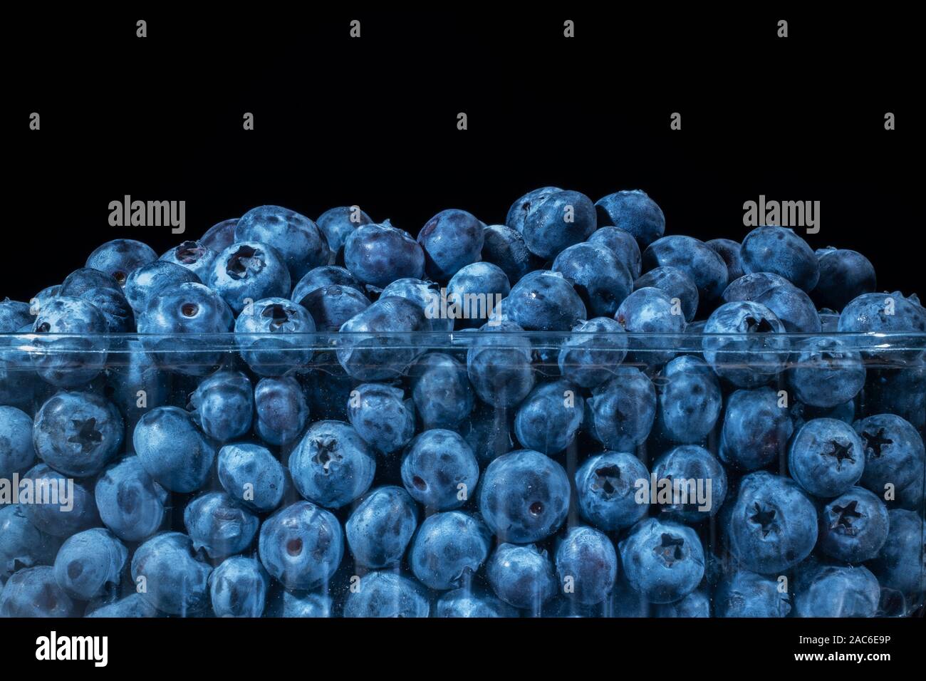 Frische Blaubeeren in wiederverwendbare food pack auf schwarzem Hintergrund. In der Nähe von Bog bilberry, Blueberry, nördlichen Heidelbeere oder Western blueberry bog Stockfoto