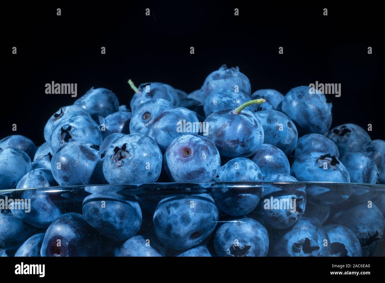Frische Blaubeeren in in Gläsern auf schwarzem Hintergrund. In der Nähe von Bog bilberry, Blueberry, nördlichen Heidelbeere oder westlichen Blaubeere (Vaccinium ulig bog Stockfoto