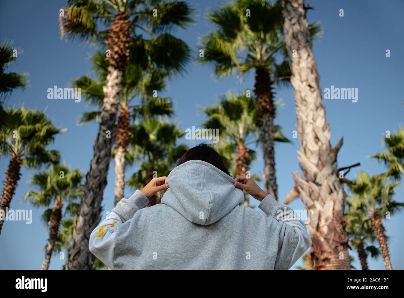 Eine brünette Mädchen in einem grauen Kapuzenpullover hält eine Haube mit ihren Händen Ausblick auf die grüne Palmen am blauen Himmel. Stockfoto