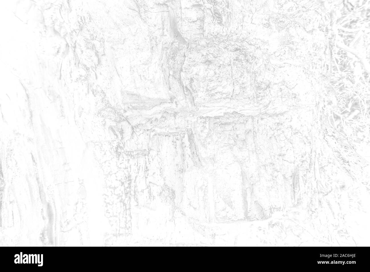 Die alte Holzstruktur mit tiefen natürlichen Mustern und Rissen auf der Oberfläche in Schwarz und weiß Stockfoto