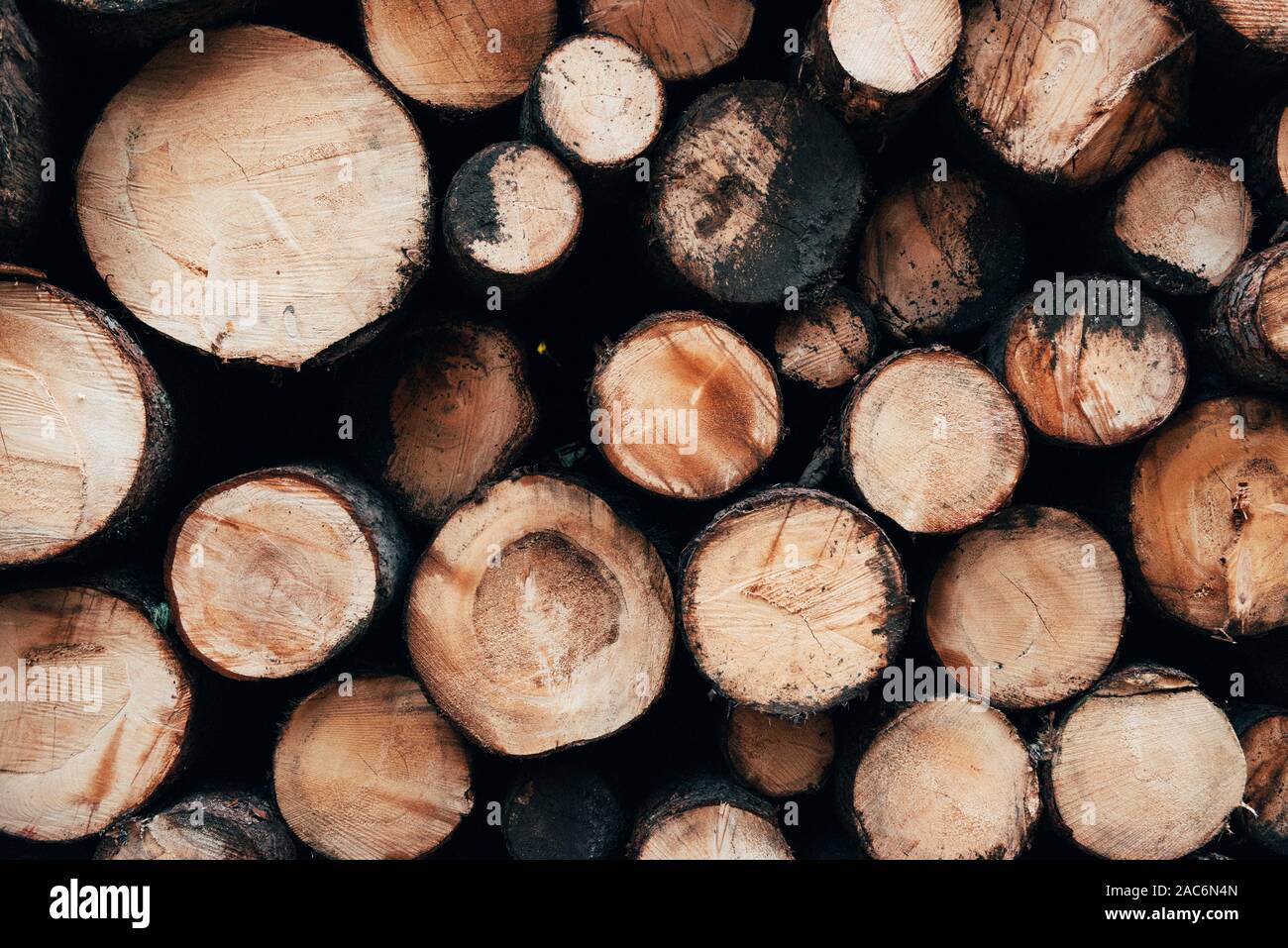 Cutten Holz stapeln. Nahaufnahme der vorderen vieler Protokolle erstellt für den Winter. Natur Hintergrund Stockfoto