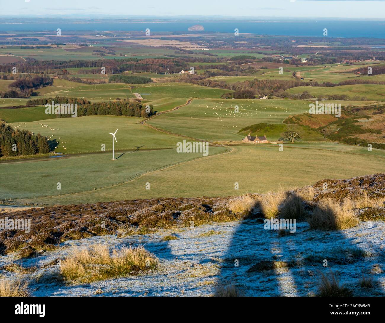 Lammermuir Hills, East Lothian, Schottland, Großbritannien. 1. Dez, 2019. UK Wetter: nach einer sehr kalten Nacht die Landschaft im Moor in Frost mit der Temperatur um Einfrieren an einem schönen sonnigen Tag im Winter überdacht ist mit langen Schatten von der Sonne und Frost auf den Boden geworfen. Blick nach Norden in Richtung der Firth-of-Forth und Bass Rock mit einer Windkraftanlage und Herde Schafe weiden Stockfoto