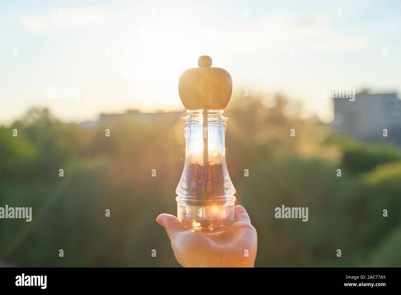 Schwarzer Pfeffer Erbsen in einer Mühle in womans Hand, Hintergrund, Sonnenuntergang, abend stadt Stockfoto